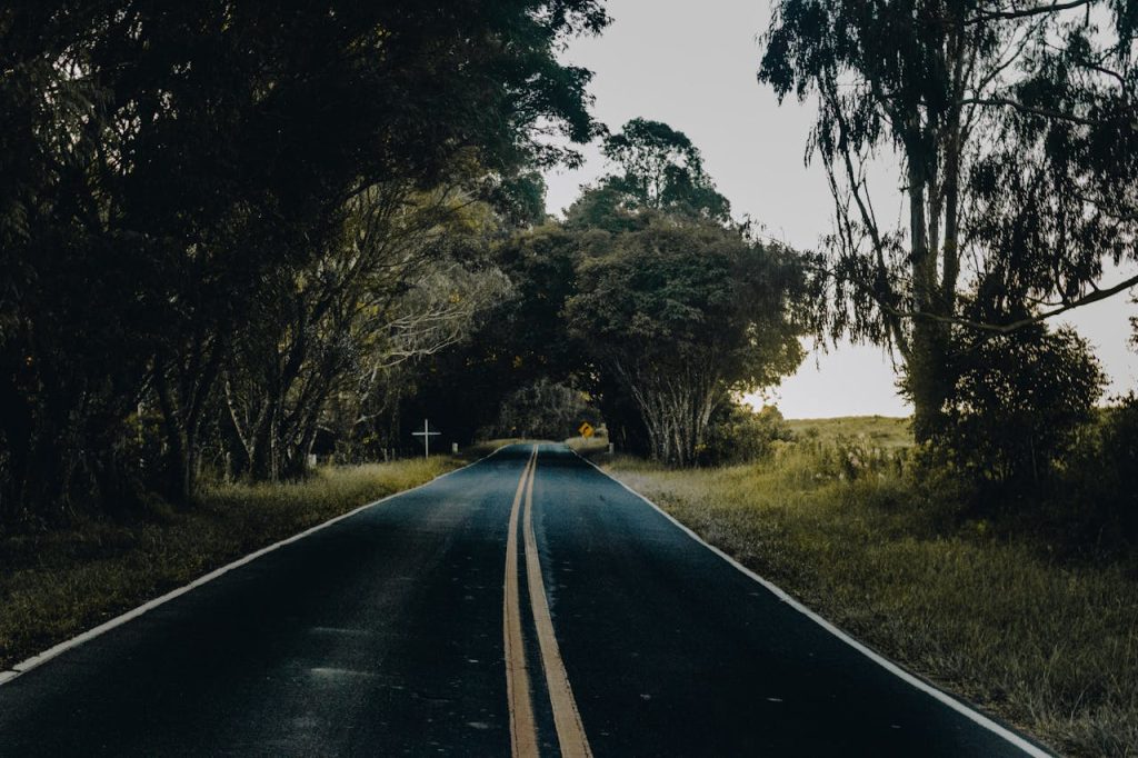 A tranquil forest road lined with lush trees and clear asphalt, ideal for nature lovers.