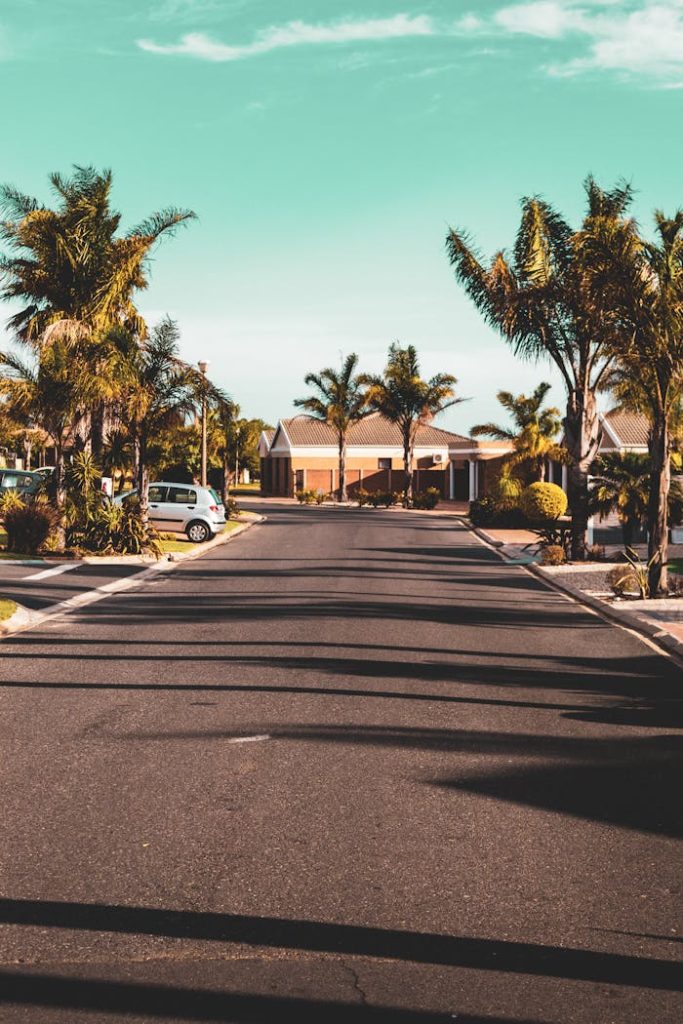Tranquil suburban street lined with palm trees on a sunny day.